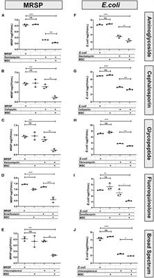 Activated Mesenchymal Stromal Cell Therapy for Treatment of Multi-Drug Resistant Bacterial Infections in Dogs